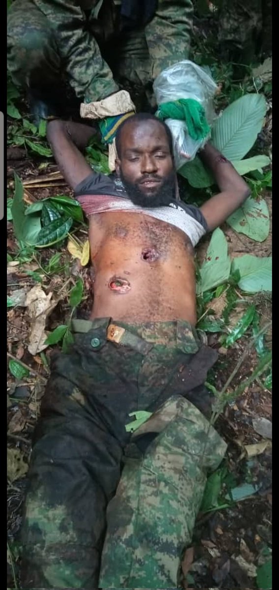 herve_kalera's tweet photo. Urgent 🚨🚨
Hier notre armée a fait une assaut à #kididiwe dans le camp des terroristes ADF en beni territoire. Bilan 40 ADF tué, 17 armes récupérées et plusieurs effets militaires similaires à celui des M23/RDF ont été récupérés. Possible que les ADF sont de mèche avec M23/RDF https://t.co/90IKBrO7Fj