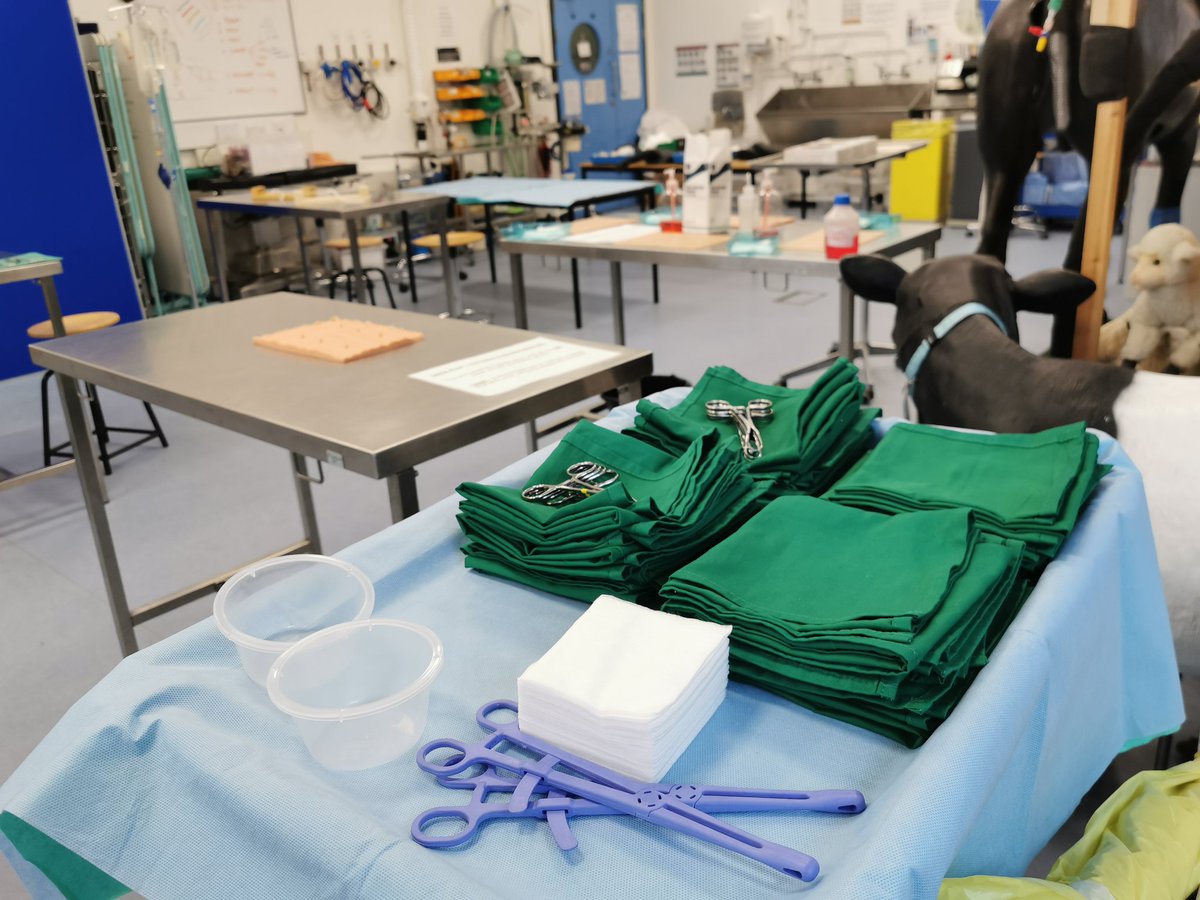ucdcsc's tweet photo. Busy OSCE prep week ahead in @ucdcsc as our GE2/MVB3 Vet Students make the most of their last week of skills practice in @ucdvetmed 🐴🐱🐮🐶

#OSCEs #clinicalskills #veterinarymedicine #veterinarylearning #surgicalskills https://t.co/WWRsHN5yJz