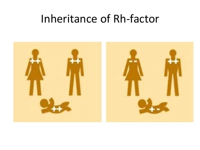 Ladies, if your blood group has a minus sign (A-, B-, O-, etc), here's what you need to know. Being pregnant for a man with a plus sign on his blood group (A+, B+, O+, etc) could cause Rhesus problems in your future pregnancies. (A thread) Retweet for awareness!