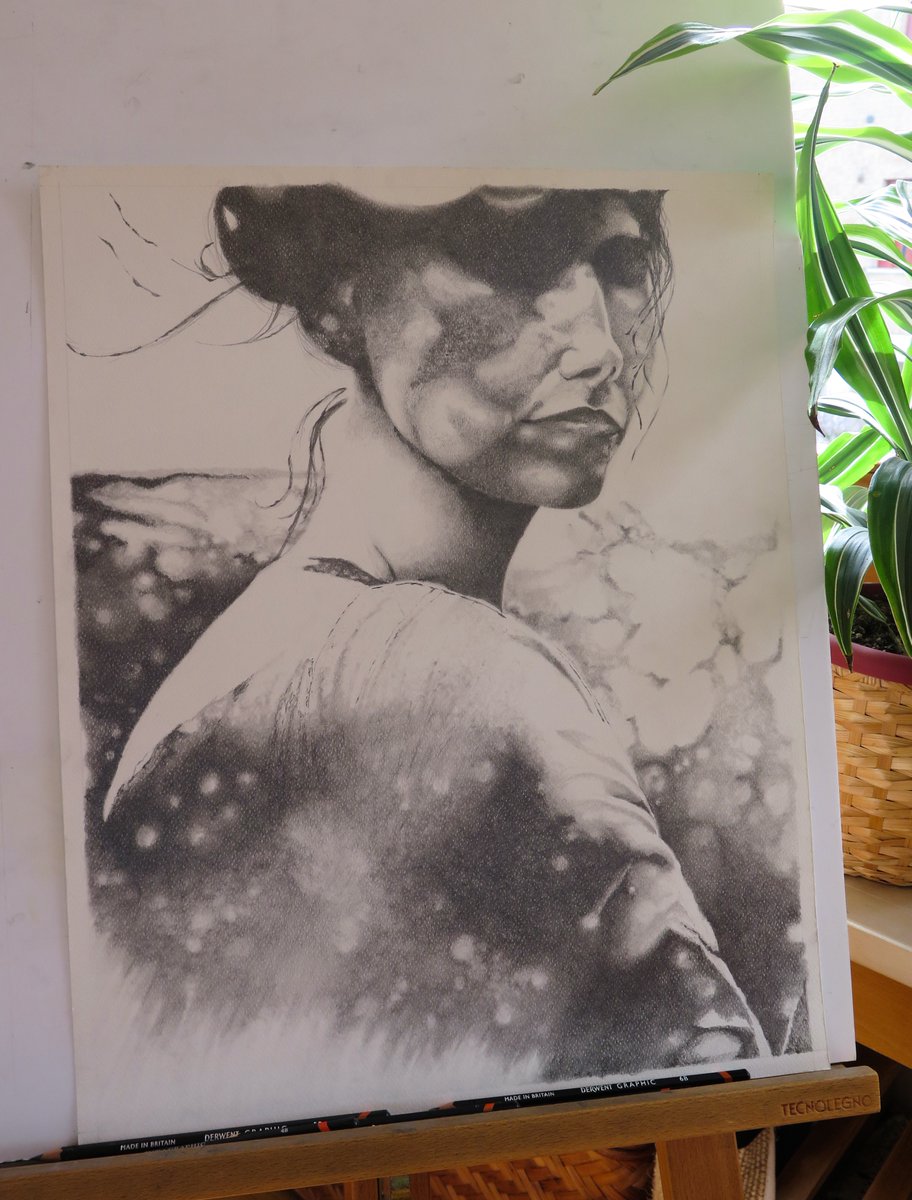 fabri360's tweet photo. #art #artwork #artist #pencil #derwent #creative #woman #drawing #blackandwhite #portrait https://t.co/2yoGrcogzd