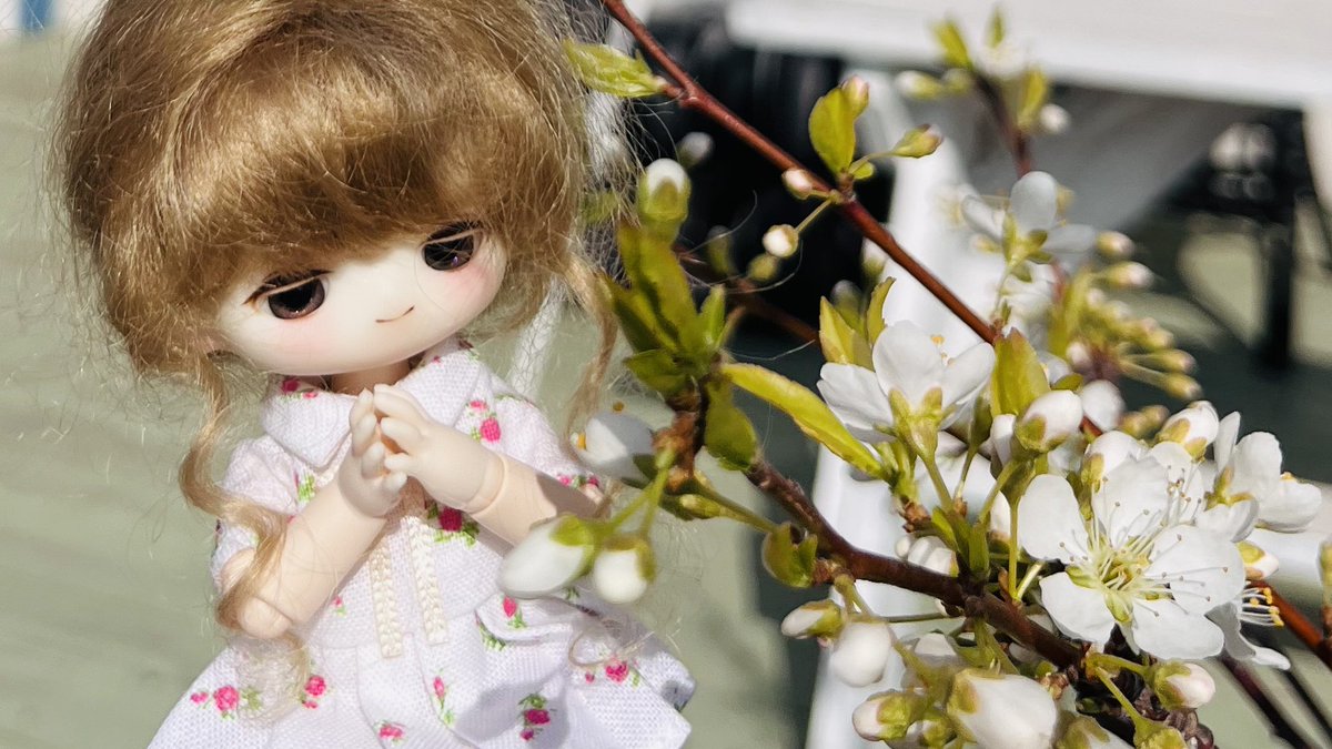 스몰픽 tweet media