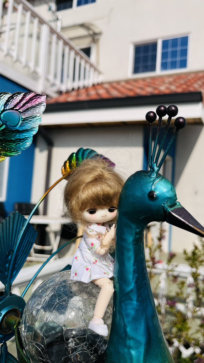 스몰픽 tweet media