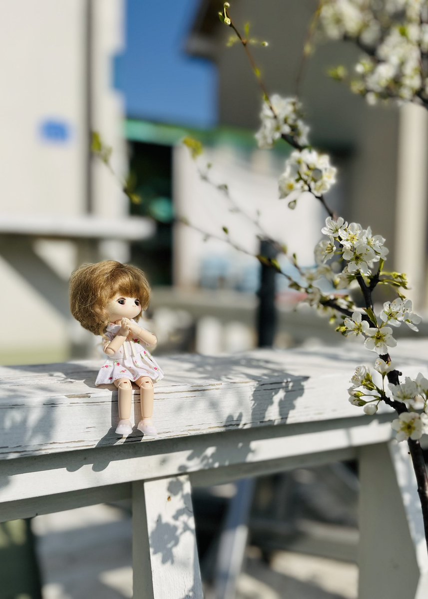 스몰픽 tweet media