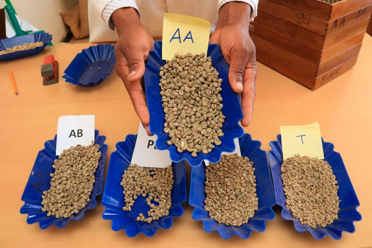 If you've ever wondered why agri-MSMEs keep going out of business, our Agrifinance Fellows have answers for you. In this op-ed published by <a href="/NationAfrica/">Daily Nation</a>, Sarah and Clement explore why funding gaps for MSMEs persist and the possible solutions 
buff.ly/40aea4x