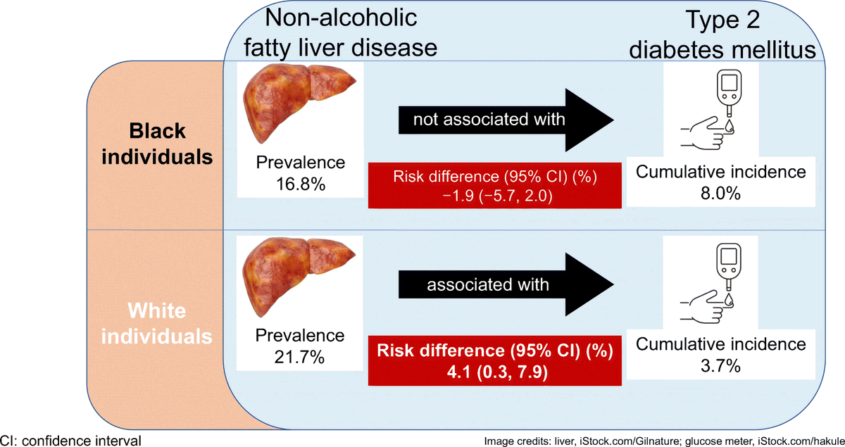 DiabetologiaJnl's tweet photo. Non-alcoholic fatty liver disease is associated with higher risk of type 2 diabetes among White but not Black individuals. The effect of liver fat on diabetes incidence may be smaller in Black vs White individuals. @m03077yh #RacialDifferences #T2D #NAFLD https://t.co/CtQyWxvCMe https://t.co/i5lXmGoQc8