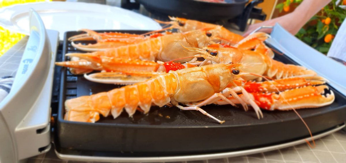 dlalonjaalamesa's tweet photo. Buenos días desde la #lonja
REGALO DE #CIGALA esta semana en la  CESTA DESCUENTO que esta semana incluye #merluzadepincho, #doradas, #gallo, #caballa y #centollos
ULTIMA SEMANA DE CAPTURAS  Y OFERTAS DE #SALMON PEQUEÑO y #CARABINERO
https://t.co/UHibpE7vxv

Whastapp 695360289 https://t.co/UcTHs1jR7G