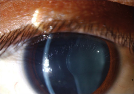 Pro-Test Italia tweet media