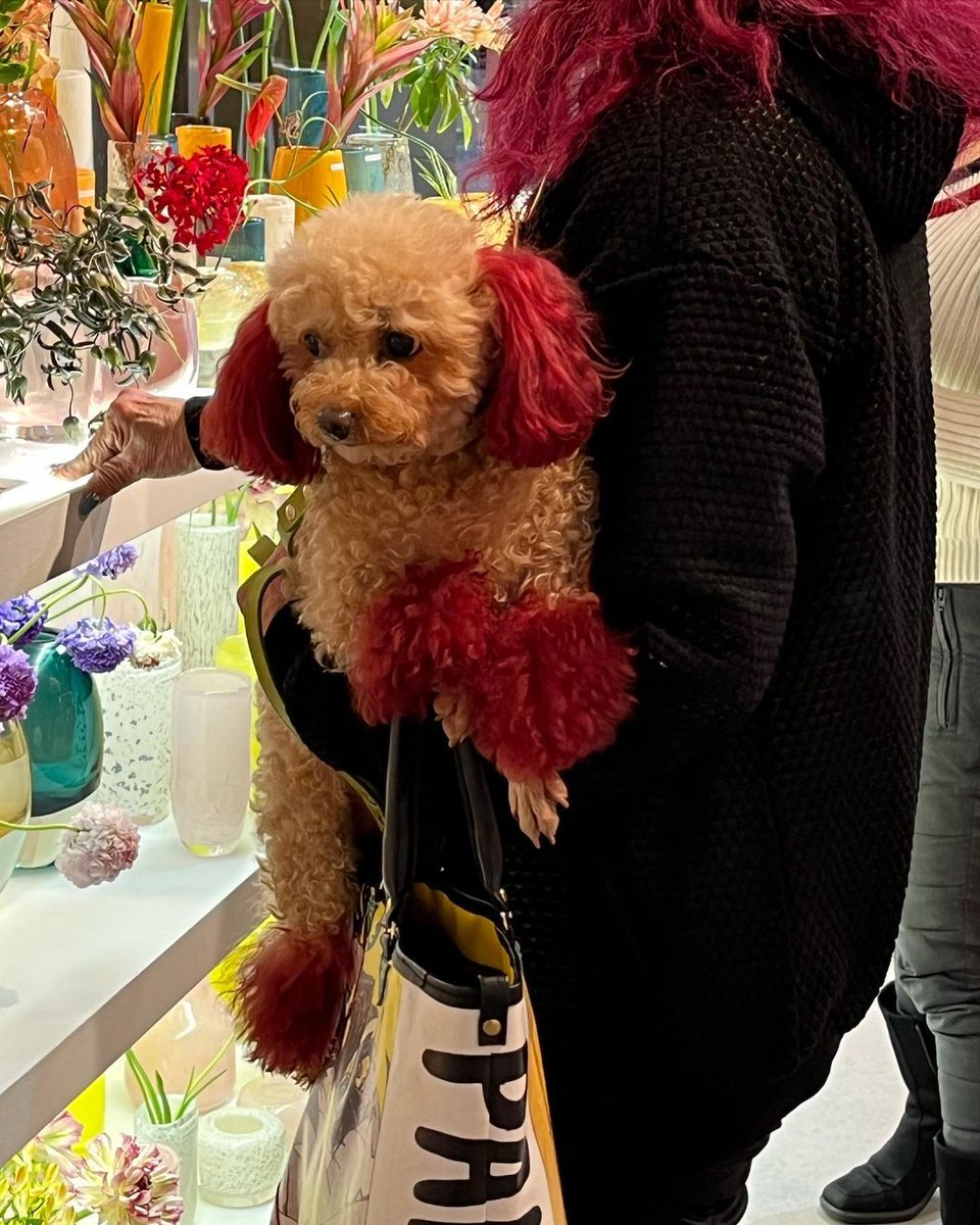 GEMISODA's tweet photo. 230327 @/ryuniverse328 IG update

caption: “🦭”

— #RyuHyeyoung #류혜영 (1 of 3) https://t.co/2R5FDcwpBo
