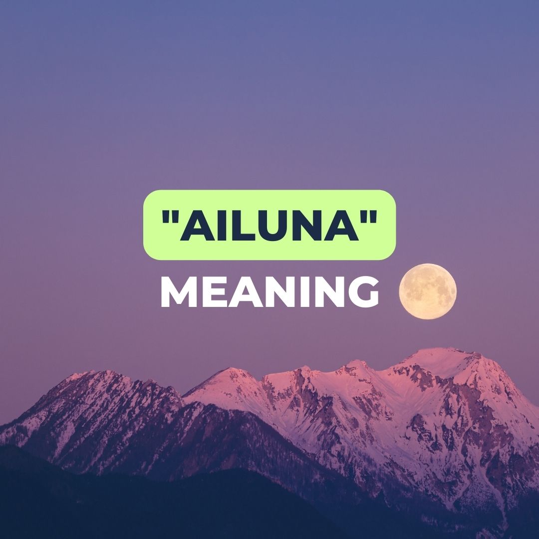 "Ailuna" conveys the idea of aiming high, to the moon, and striving for wonder. To help people and businesses make positive, impactful changes for a more sustainable future. More: ailuna.com/book-a-demo/ #sustainablebusiness #sustainablefuture #gogreen #SustainableDevelopment