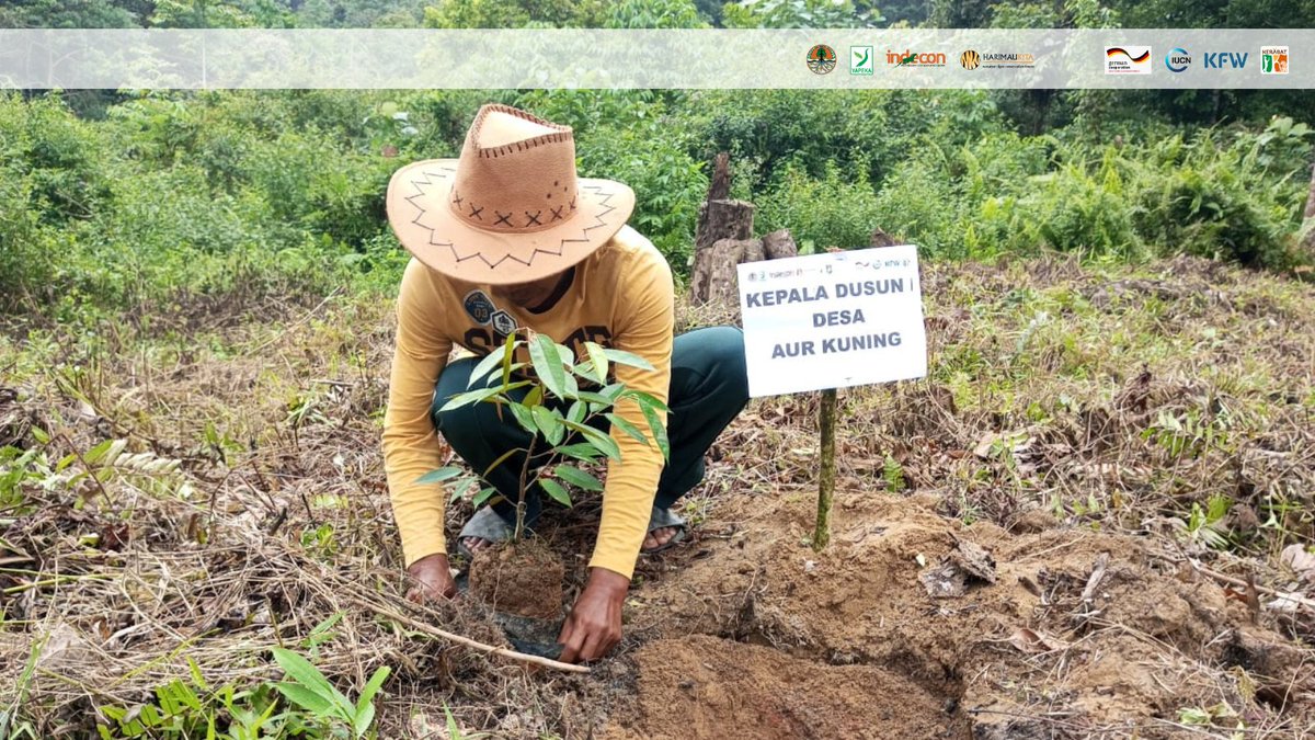 RumahYapeka's tweet photo. Rangkaian hari Desa Asri Nusantara 15 Maret 2023 @kemendes.ppid , bersama pemerintah desa (Pemdes) setempat, konsorsium #kerabat @indeconetwork @harimaukita dan @BBKSDARiau
895 bibit tanaman buah, terdiri dari kelengkeng dan durian dibagikan ke masyarakat desa. https://t.co/vqi8uawoCS