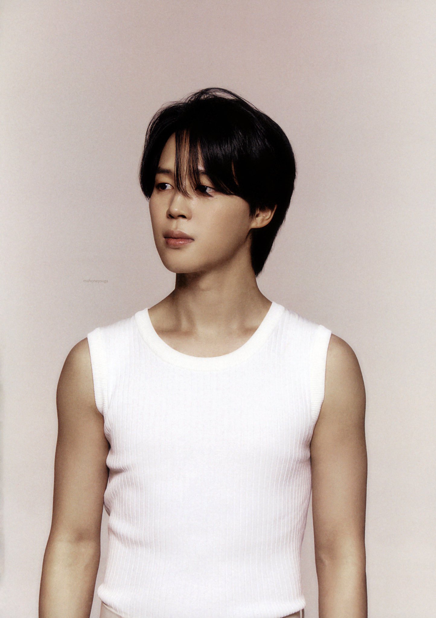 JIMIN PREMIUM PHOTO FLIP PHOTO セット 公式 JIMIN PREMIUM PHOTO FLIP PHOTO セット 公式 BTS Jimin