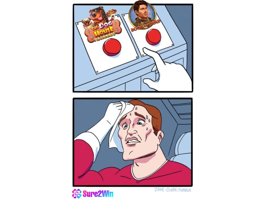 Which one would you play first? #Sure2win #TheDogHouse #Megaways #BookOfDead