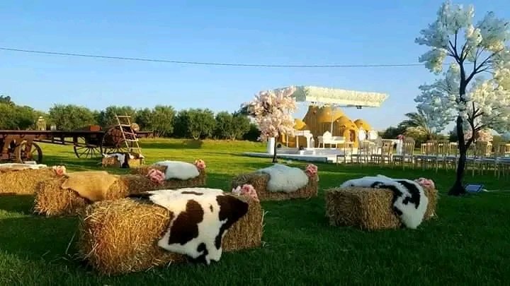 دار بيّة 😍 الفوار #باجة ❤🇹🇳

#VisitTunisia 🇹🇳

#تونس #قيس_سعيد #Tunisie #Tunisia #Tunisian