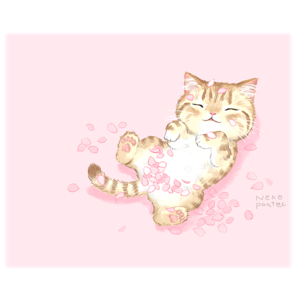 ねこパンツくん ポストカード | wbtechnologiez.com