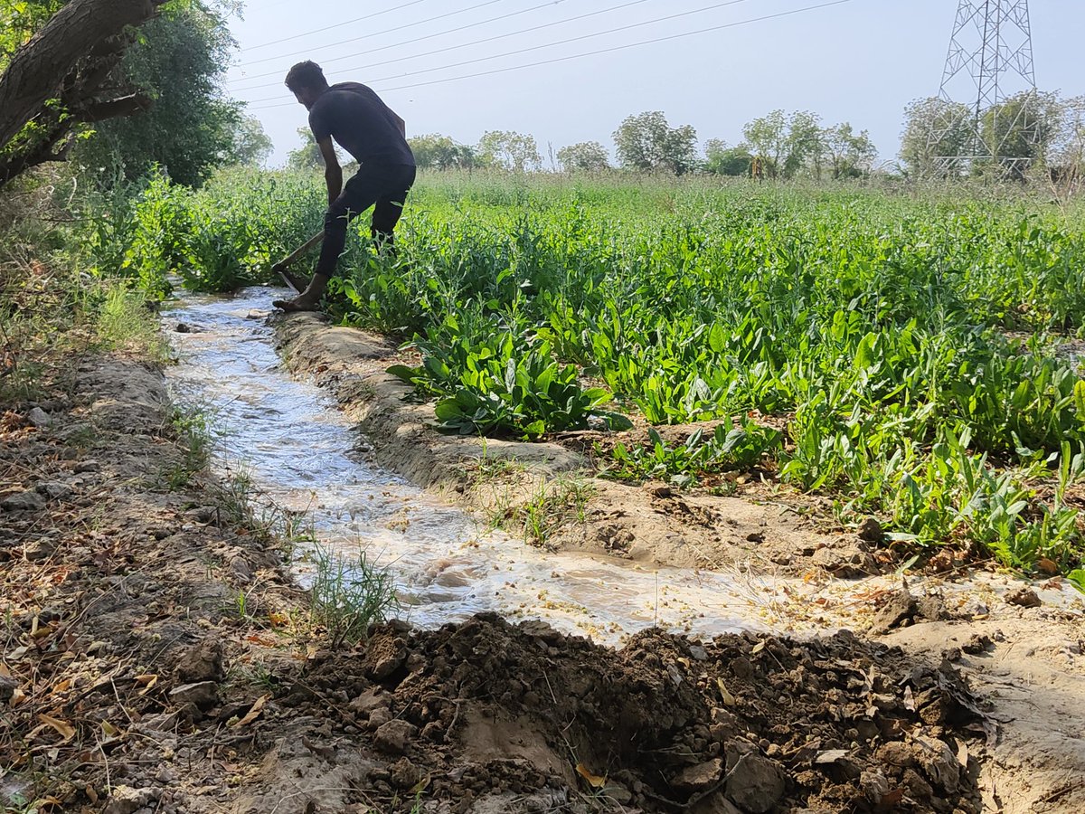 Anticipate_CC's tweet photo. As farmers prepared to harvest their crops after the Holi festival, unseasonal rainfall damaged their standing crops. In our field site, farmers are harnessing both indigenous and formal information systems to respond to these unanticipated events and intense variability. https://t.co/fcpIRlPj0I