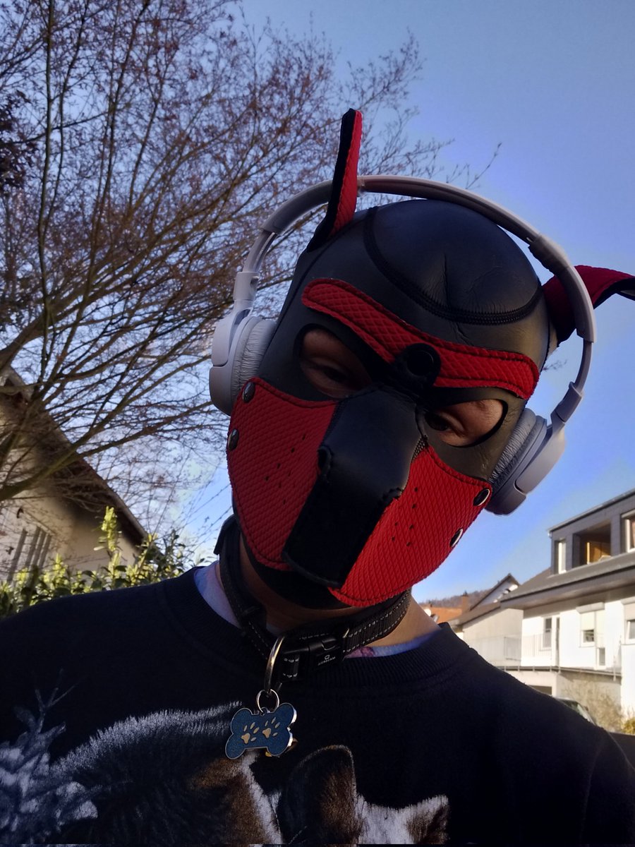 Naibthewolf's tweet photo. Just a #puppy Walking around  in your Town >w< https://t.co/ZcL12HShcy