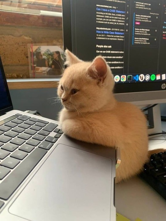 nixcraft's tweet photo. Monday morning debug session 🥱 https://t.co/RWgn3BFl72