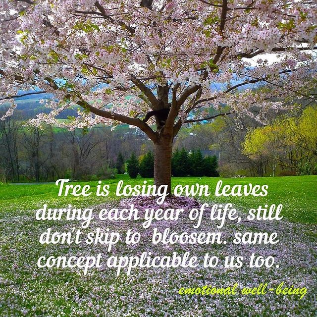 wellnesscy35274's tweet photo. #livelife #living #trueliving #lifecoach #lifequotes #lifesimplified #livewell #lifeisgood #livilyhood https://t.co/vzKJDuHOoe