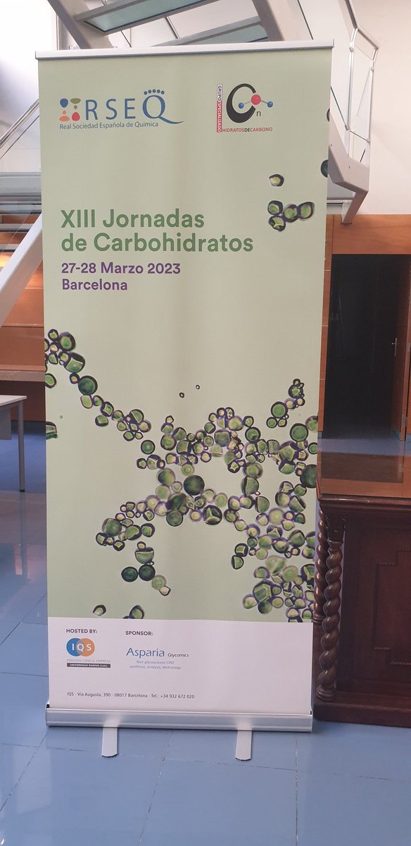 Xevi Biarnés (@xevibiarnes) on Twitter photo XIII Jornadas Carbohidratos come back in Barcelona for three days. <a href="/RSEQUIMICA/">RSEQ</a> <a href="/GECarbohidratos/">GECarbohidratos</a> <a href="/IQSbarcelona/">IQS Barcelona</a> XIII Jornadas Carbohidratos come back in Barcelona for three days. <a href="/RSEQUIMICA/">RSEQ</a> <a href="/GECarbohidratos/">GECarbohidratos</a> <a href="/IQSbarcelona/">IQS Barcelona</a>