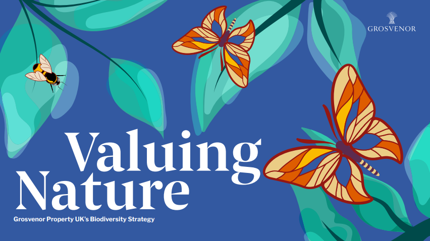 Grosvenor Property UK (@grosvenorpropuk) on Twitter photo Proud to announce our biodiversity strategy has been shortlisted for the Pineapple Award for Climate Resilience from <a href="/TheDeveloperUK/">The Developer</a> 🏅
Find out more about our nomination and the awards here ⬇️
thedeveloper.live/opinion/the-pi… Proud to announce our biodiversity strategy has been shortlisted for the Pineapple Award for Climate Resilience from <a href="/TheDeveloperUK/">The Developer</a> 🏅
Find out more about our nomination and the awards here ⬇️
thedeveloper.live/opinion/the-pi…