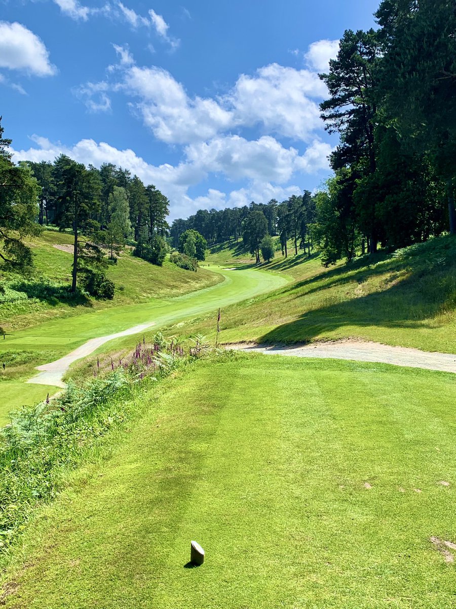What’s the best golf photo you’ve taken in the last 12 months? It’s probably the vista rather than the photo itself, but this 📸 of @hgcproshop 7th hole at Hindhead is one of my favourites.. #golftwitter