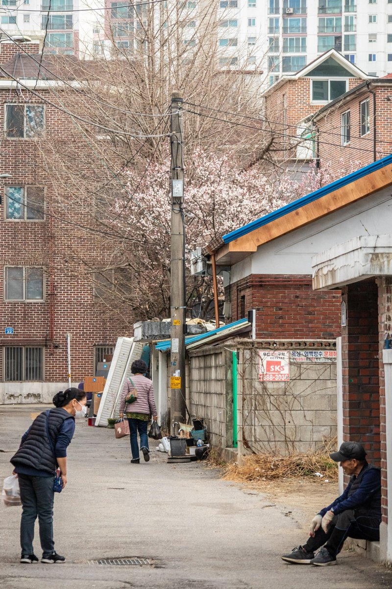 torirun's tweet photo. 사람들은 즐겁다 / 202303 / 의왕시 고천동
#suwon #uiwang #gocheondong #canonm5 #의왕 #고천동 #사람들 https://t.co/q1rylp6bw9