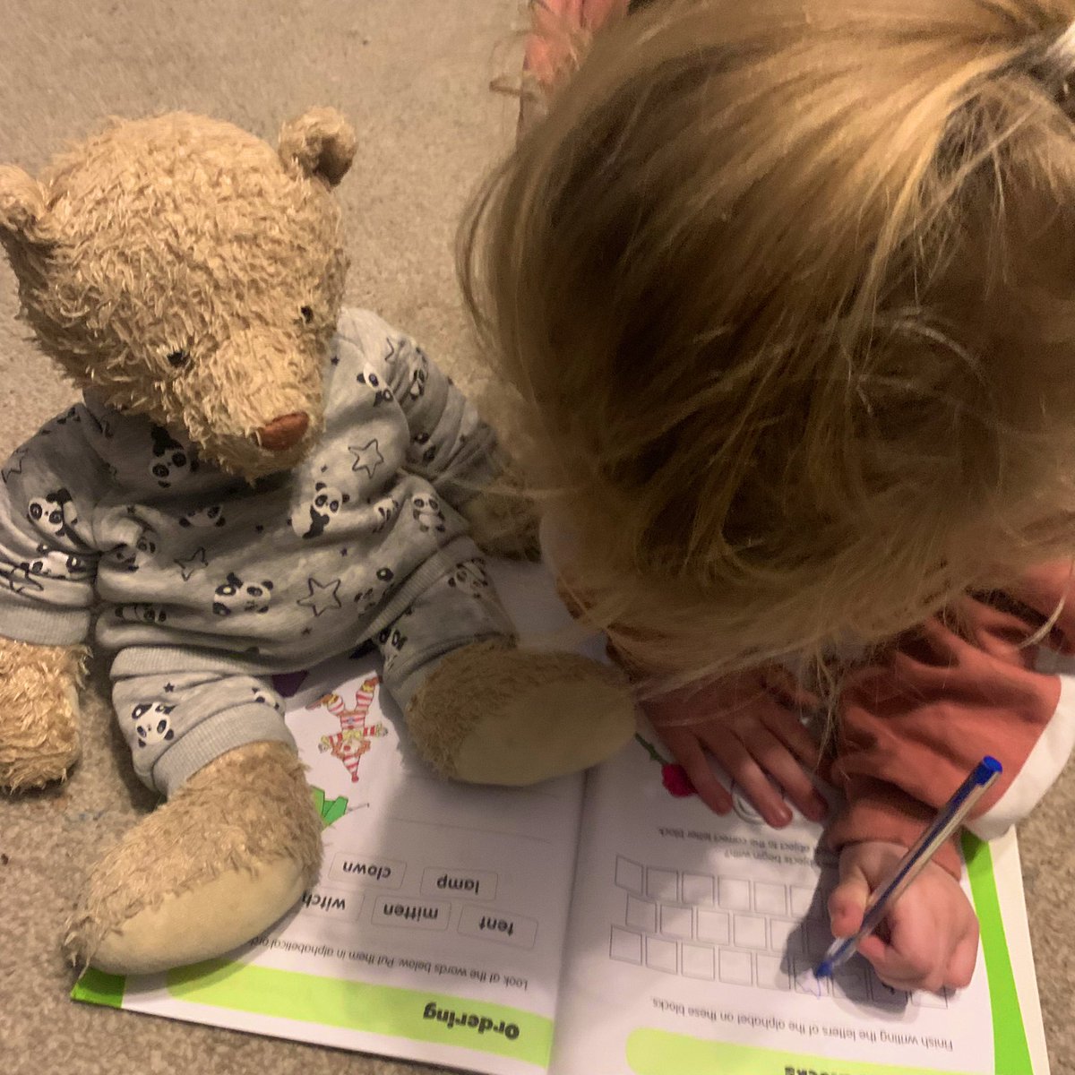 TaylorWaring's tweet photo. @SpringwellRecep Elouise had so much fun with Ralph. He really does have the best adventures with all his friends ! Was so lovely reading them. https://t.co/CrP6N21X53