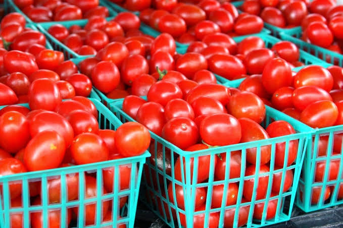 Powerofafrica_'s tweet photo. #Morningfacts Nigeria is the 14th largest producer of tomatoes in the world, second in Africa and accounts for about 65 per cent of all tomatoes that is produced in West Africa. 

#powerofafrica #poafacts #discoverafrica https://t.co/Xiiinl0zY5