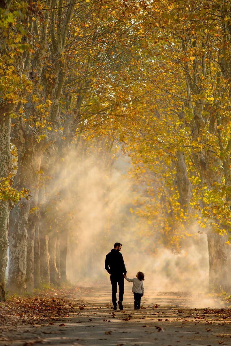 alimermertas.eth tweet media