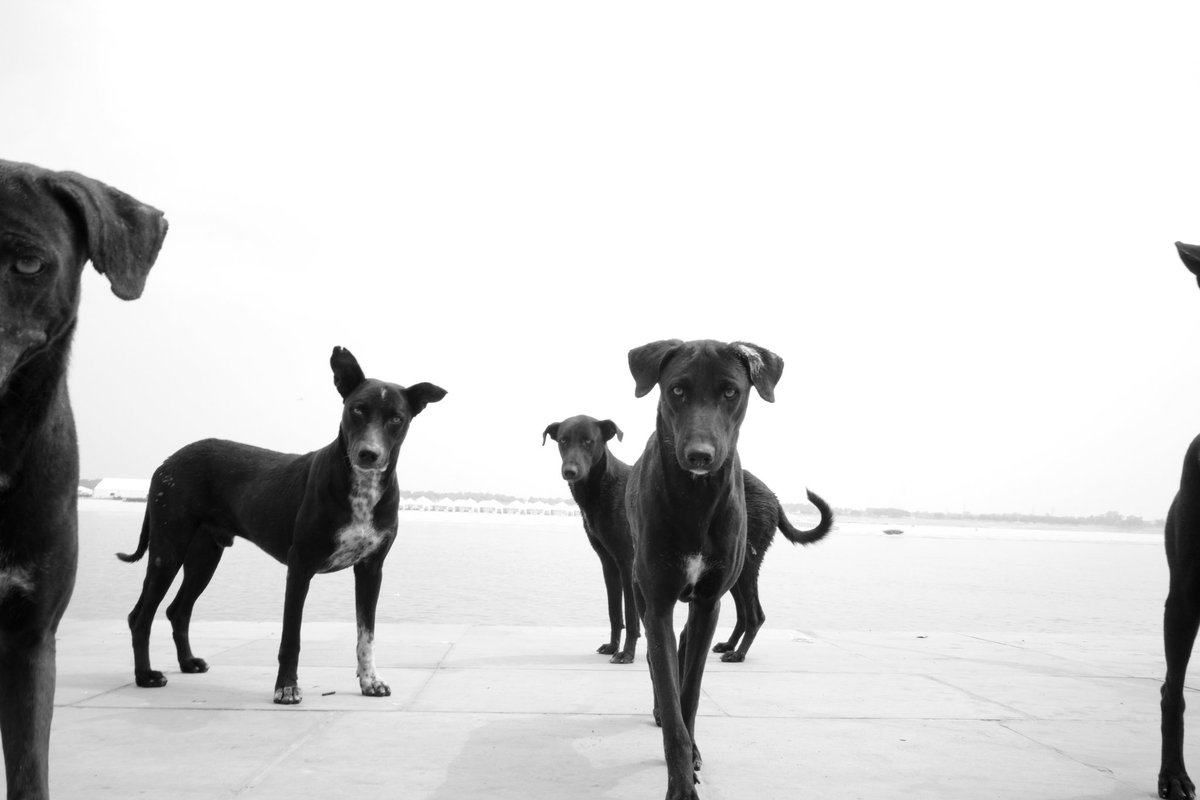 Vish 📸 tweet media