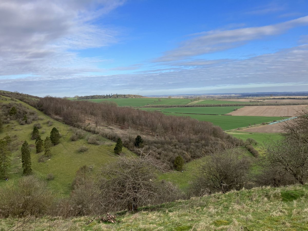 Late but lovely start to the day, headed from Hampshire into central London