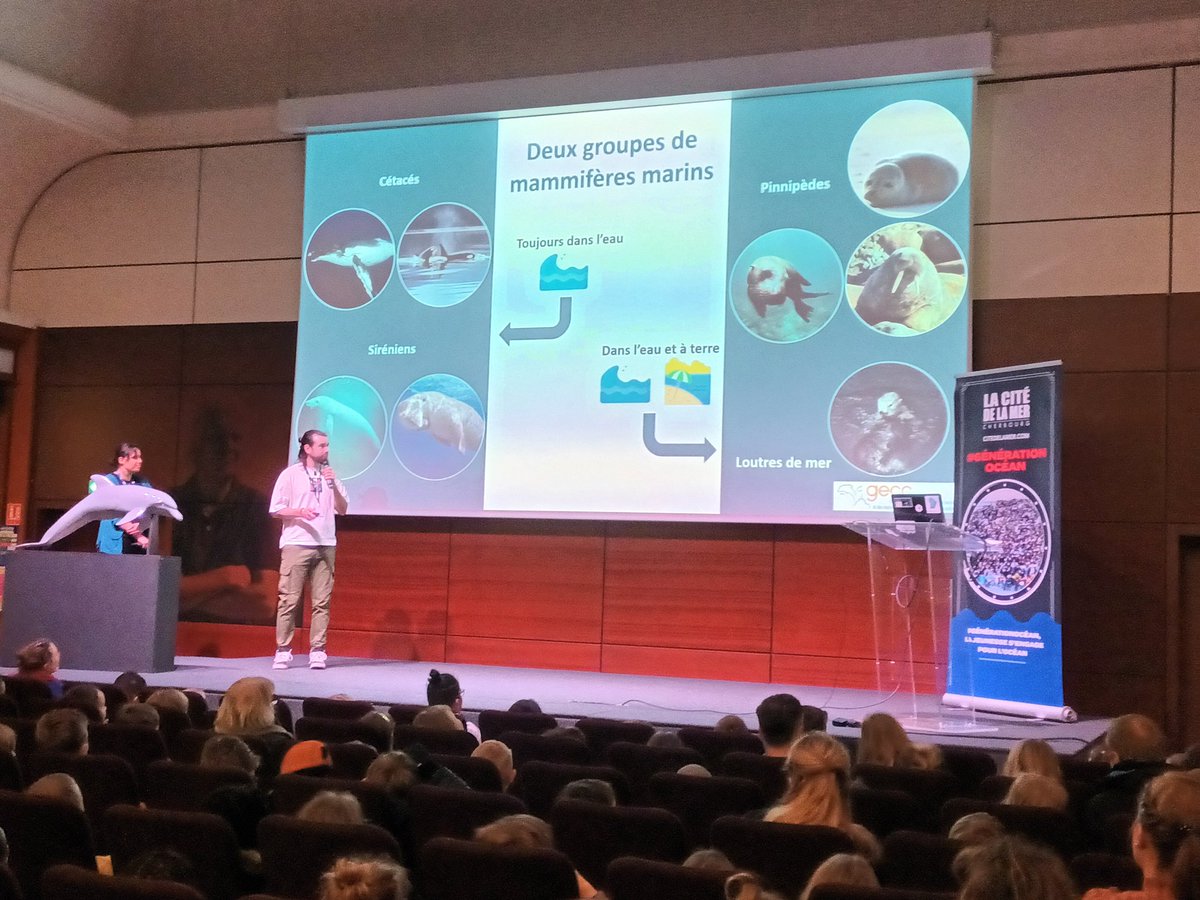 #Cherbourg #Cotentin 
C'est parti pour une nouvelle édition de #GénérationOcéan à la <a href="/Cite_de_la_Mer/">La Cité de la Mer</a> !
Pauline et Sébastien du <a href="/GECC_Normandie/">GECC Mammifères marins</a> commencent par expliquer la différence entre cétacés et poissons devant 300 élèves de primaire avant d'évoquer le langage des #dauphins.