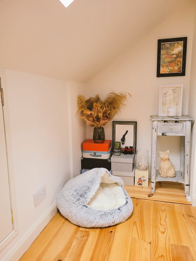 sophiebenefer's tweet image. For years, I have wanted a place where I could go to write. Finally started making that a reality. Here&apos;s my little writing nook complete with cat bed (that they don&apos;t use). #femalewriter
