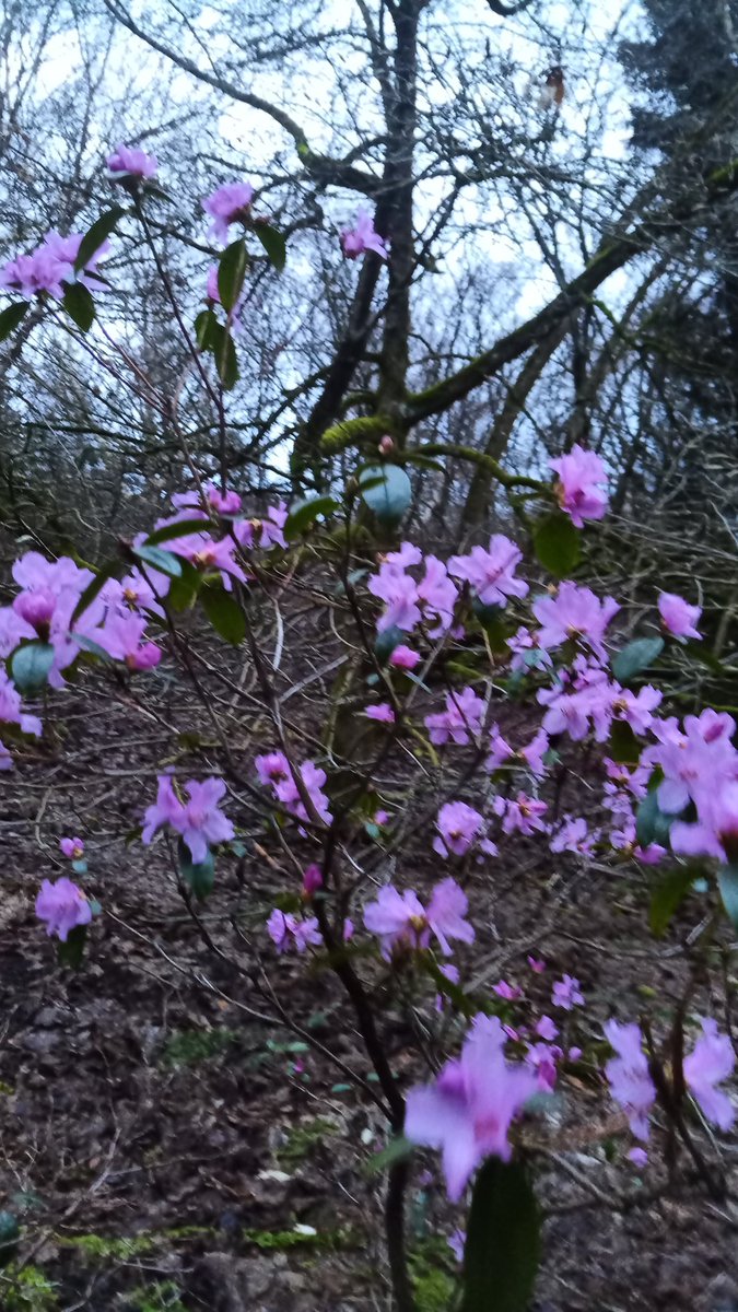 Moin Welt 😎☕🏵️