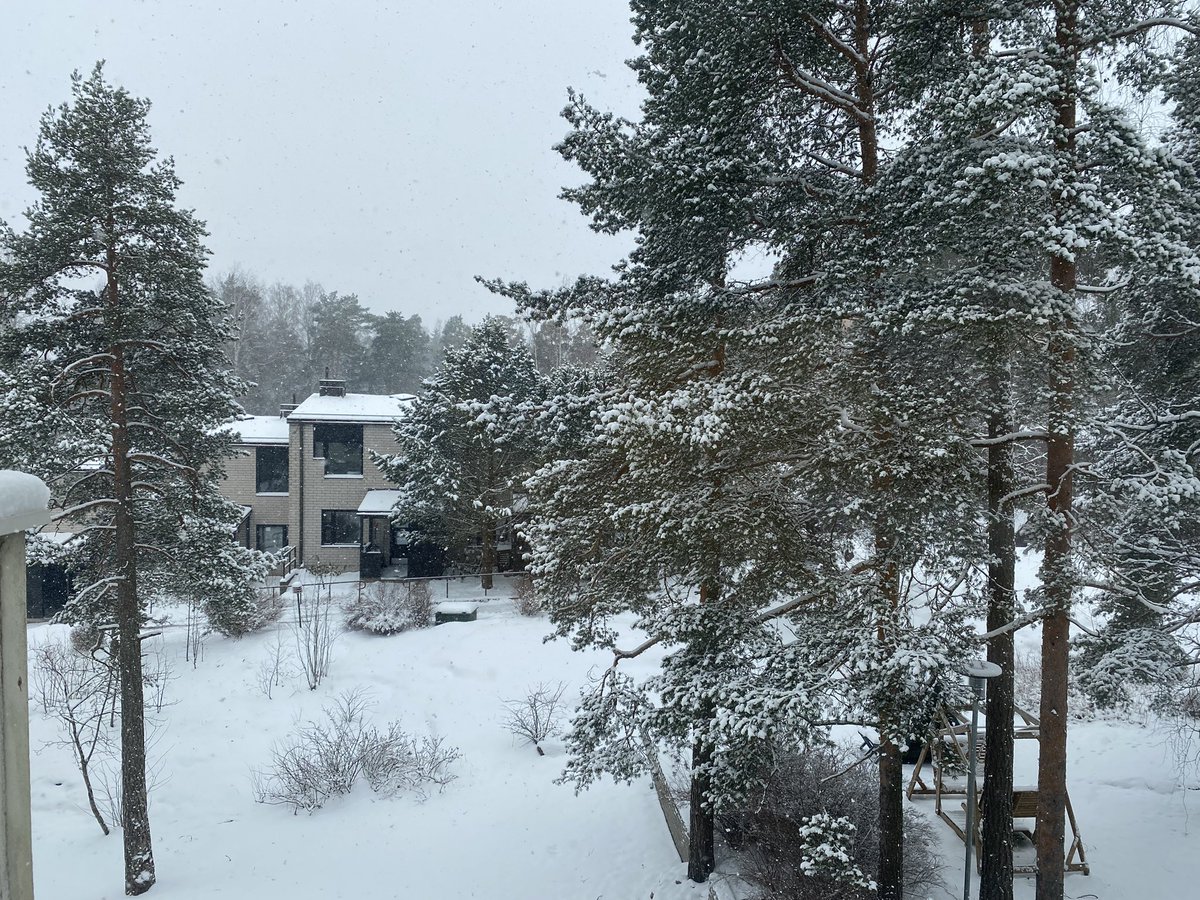 Feliz primavera desde Finlandia 🫠