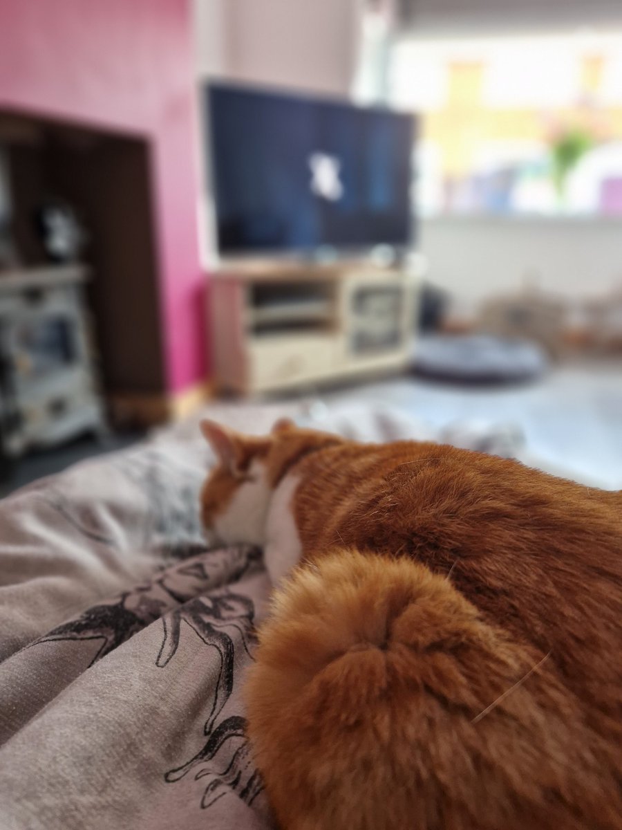 mrsc79's tweet photo. Chilled post surgery morning with @Pipskin @ChrisMoyles @domisatwit @RadioX 
#mastectomy
#triplenegativecancer https://t.co/vJVTMDzxzZ
