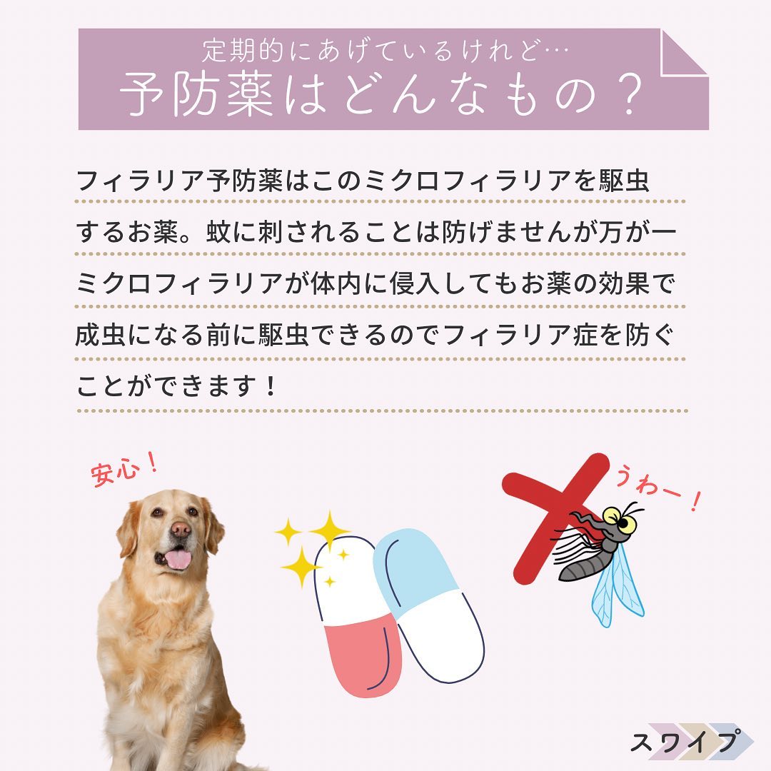 WANDEL_official's tweet photo. 土日は寒かった🥶っすけど今週は暖かいみたいっす🌸温度差の風邪には気をつけていきましょうっす～🤧

暖かくなってくるとワンさん🐶はフィラリア予防薬💊の時期っすね📅
というわけで今日はフィラリア病のお勉強っす📝
獣医さん👩‍⚕️の指導に従って予防していきましょう✨
#犬好きさんと繋がりたい https://t.co/N1DA5FeS82