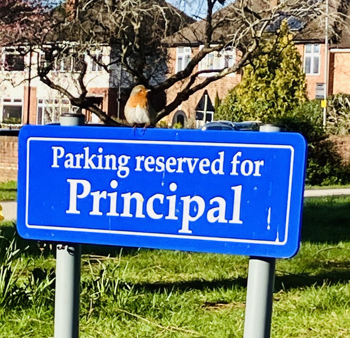 ⁦@EdwardOldcorne⁩, there is a pun to be made here about tweets, heads and parking spaces…… but I’m struggling lol