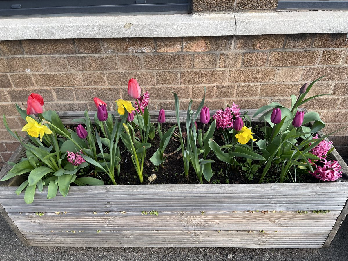 Spring has arrived here! @TransformTrust <a href="/PrimaryShaw/">Robert Shaw Primary & Nursery School</a>