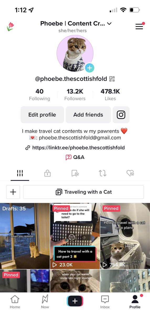 HI BRANDS!

Is there any pet brands out there looking for cat UGC Creators/ Influencers? 

Look no further! My cat, Phoebe is the purffect creator/ model for your brand. 

#brandcollaboration #petbrand #ugc #ugccreators #catinfluencer #ugccontentcreator