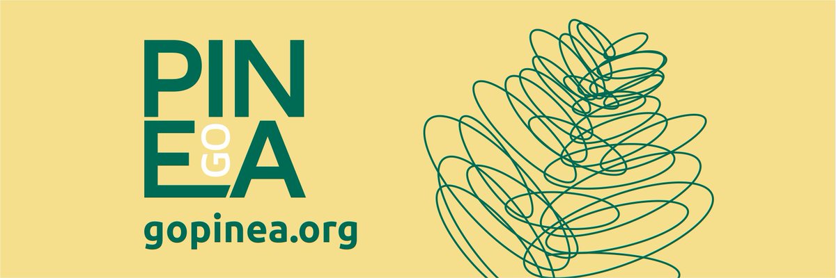 GO PINEA tweet media
