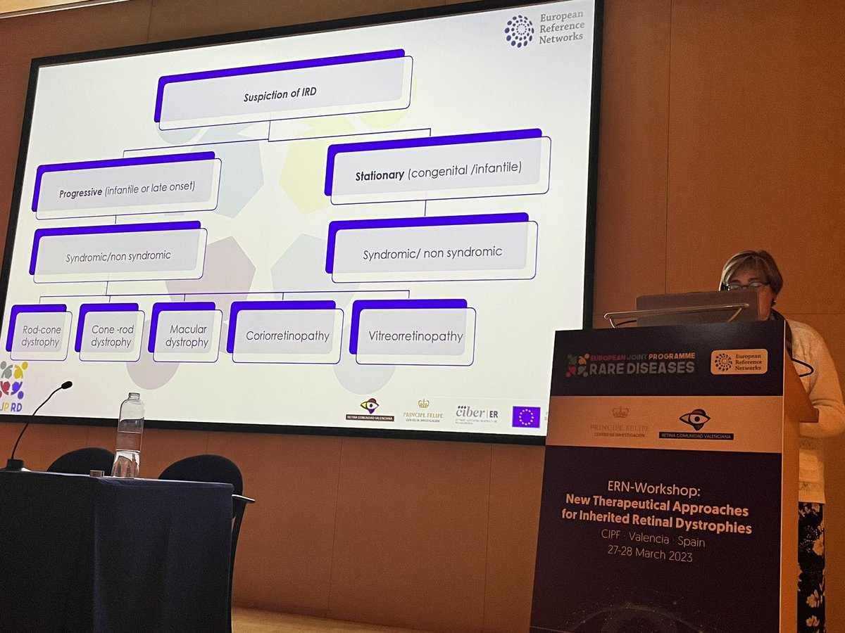 AnaPilarGomez's tweet photo. Talk 2 #ERNworkshop #retinaldystrophies 
Dr. Rosa Coco from University of Valladolid explains clinical basis for diagnosis of IRD 
@CIPFciencia @CIBERER @ReginaRodrigo_ @Canal_Retina @RetinaMurcia @retiprotek https://t.co/Yz4hf4Qxba