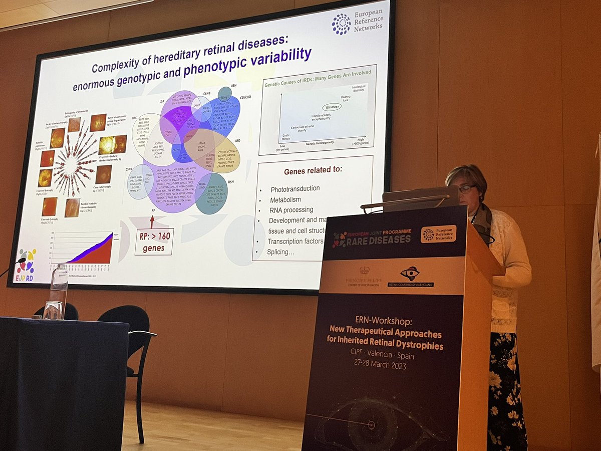 AnaPilarGomez's tweet photo. Talk 2 #ERNworkshop #retinaldystrophies 
Dr. Rosa Coco from University of Valladolid explains clinical basis for diagnosis of IRD 
@CIPFciencia @CIBERER @ReginaRodrigo_ @Canal_Retina @RetinaMurcia @retiprotek https://t.co/Yz4hf4Qxba