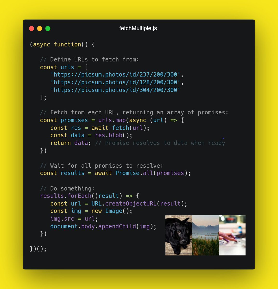 openjavascript's tweet image. A pattern for fetching data from multiple sources
🐶🐶🐶
#javascript #webdev #webdevelopment
Related tutorials:
👉 Options for handling multiple promises: bit.ly/3ZoSTTj
👉 Learn async/await: bit.ly/3ns4X95