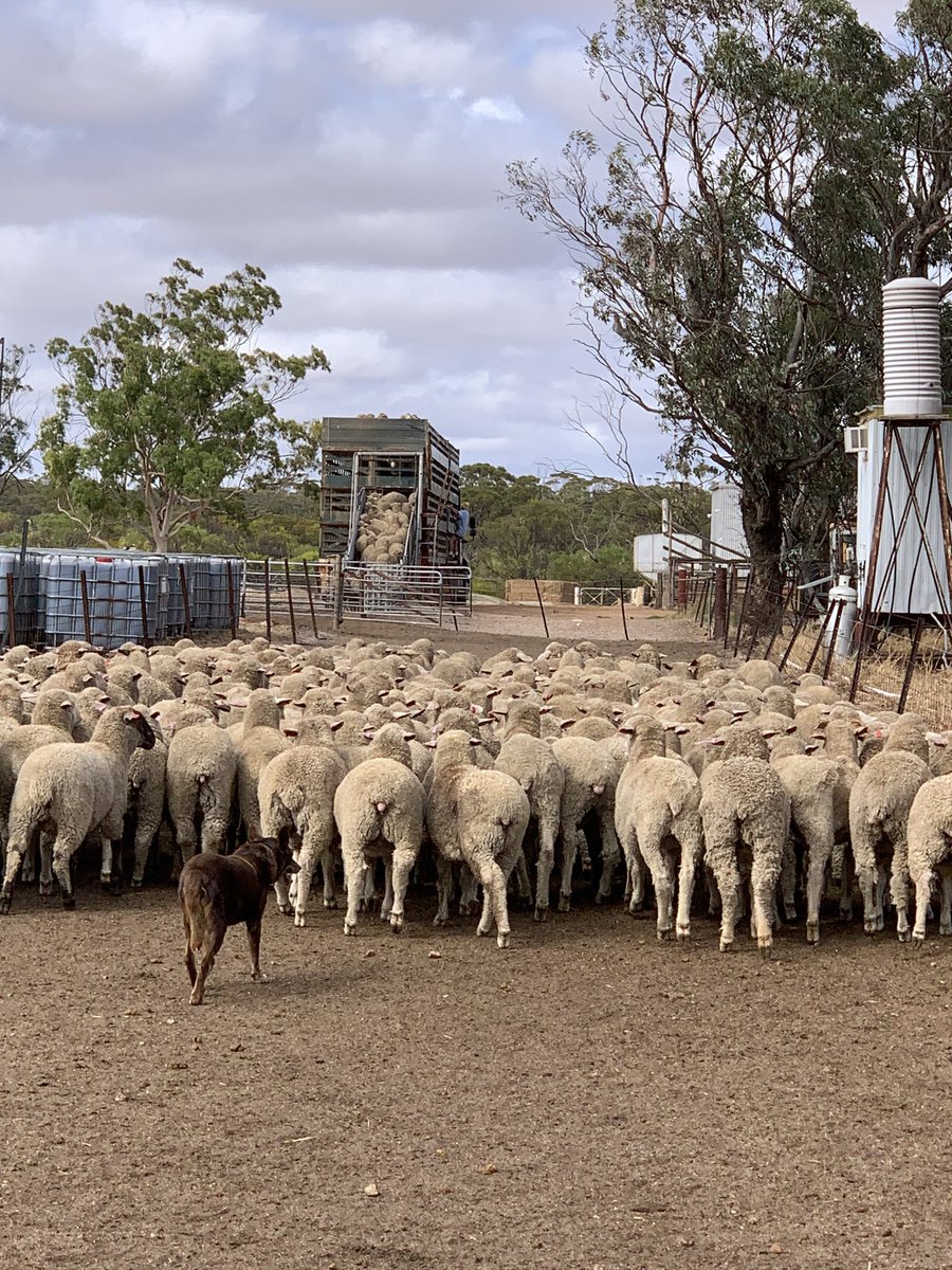 Feeling a bit lucky this morning