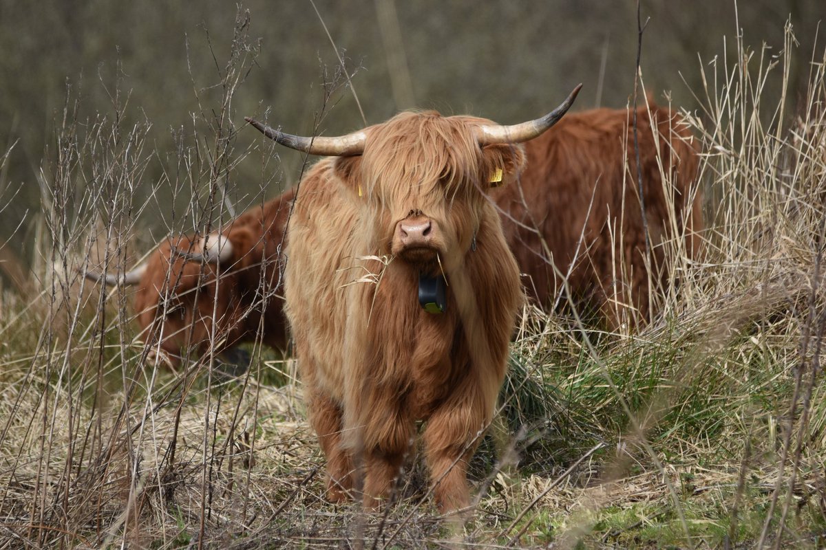 Duane Evans 📷 🏴󠁧󠁢󠁷󠁬󠁳󠁿 tweet media