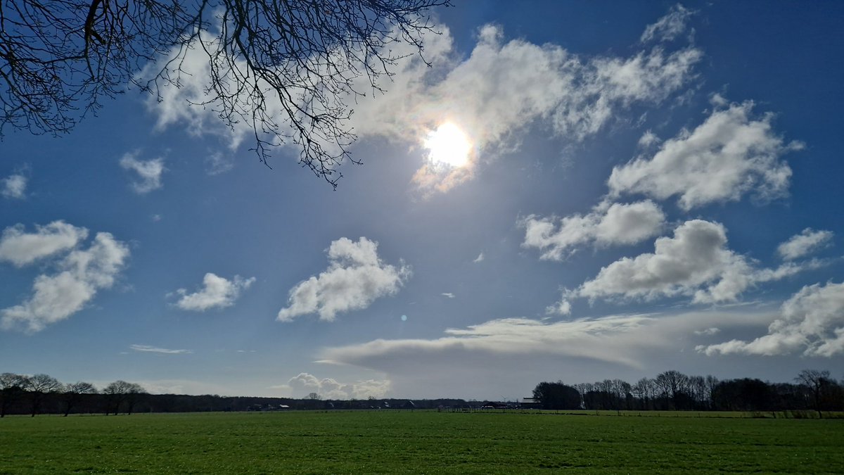 .....ondertussen in Fryslân tussen groen en blauw - zie je het gaat prima samen ;-)
#friesland #klimaatprotest #klimaathysterie #Klimaterroristen of is klimaat gewoon #klimaat?