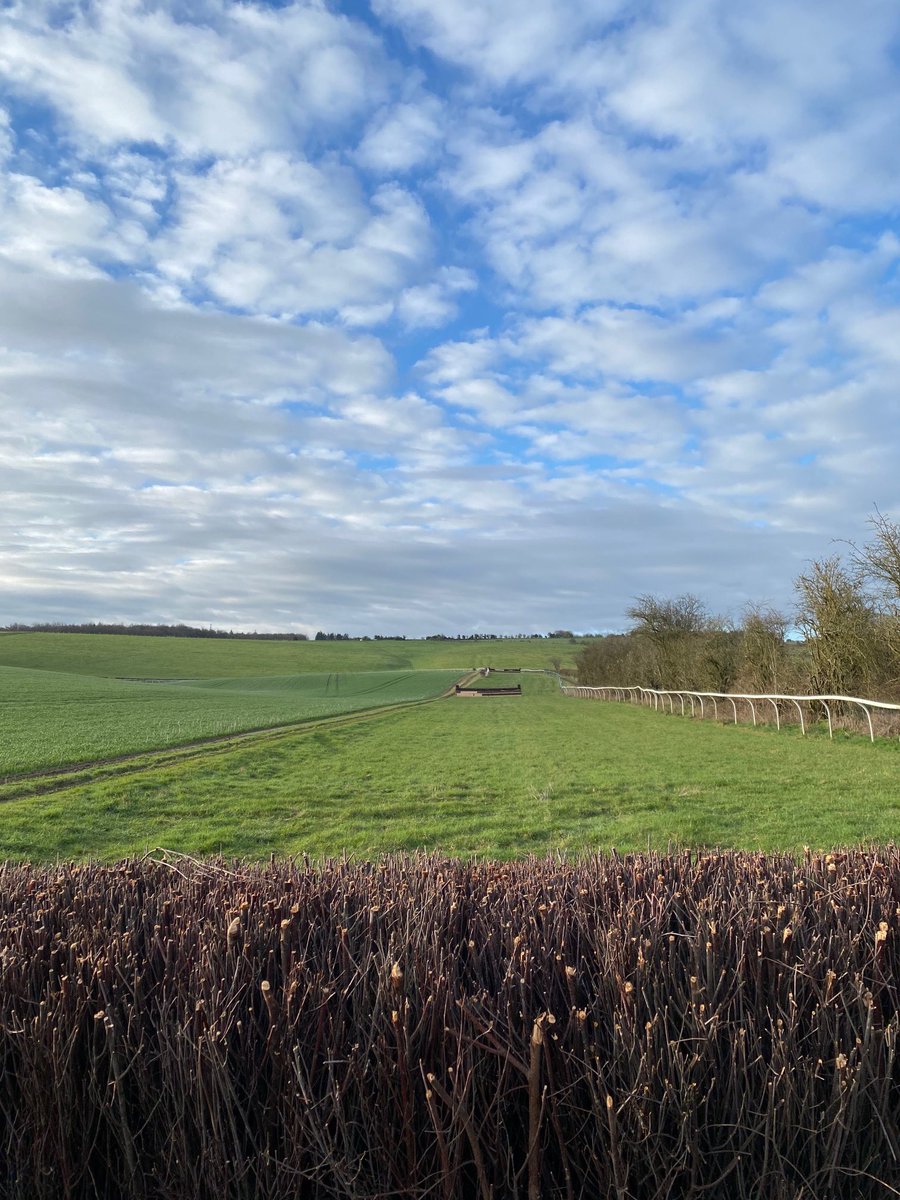 OBH Point-to-Point tweet media