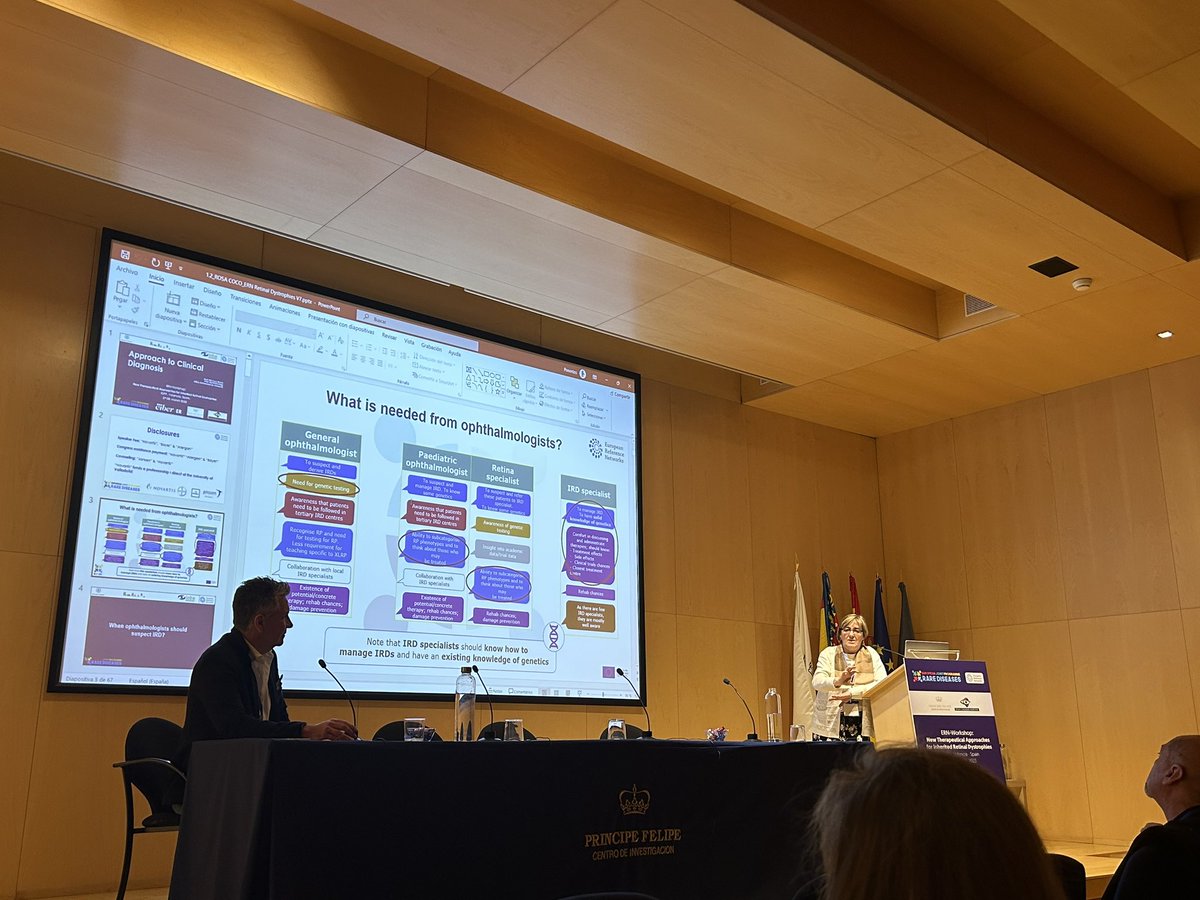 Jandritu's tweet image. Attending the ERN-EJPRD workshop on new #therapies for #retinaldiseases in Valencia.