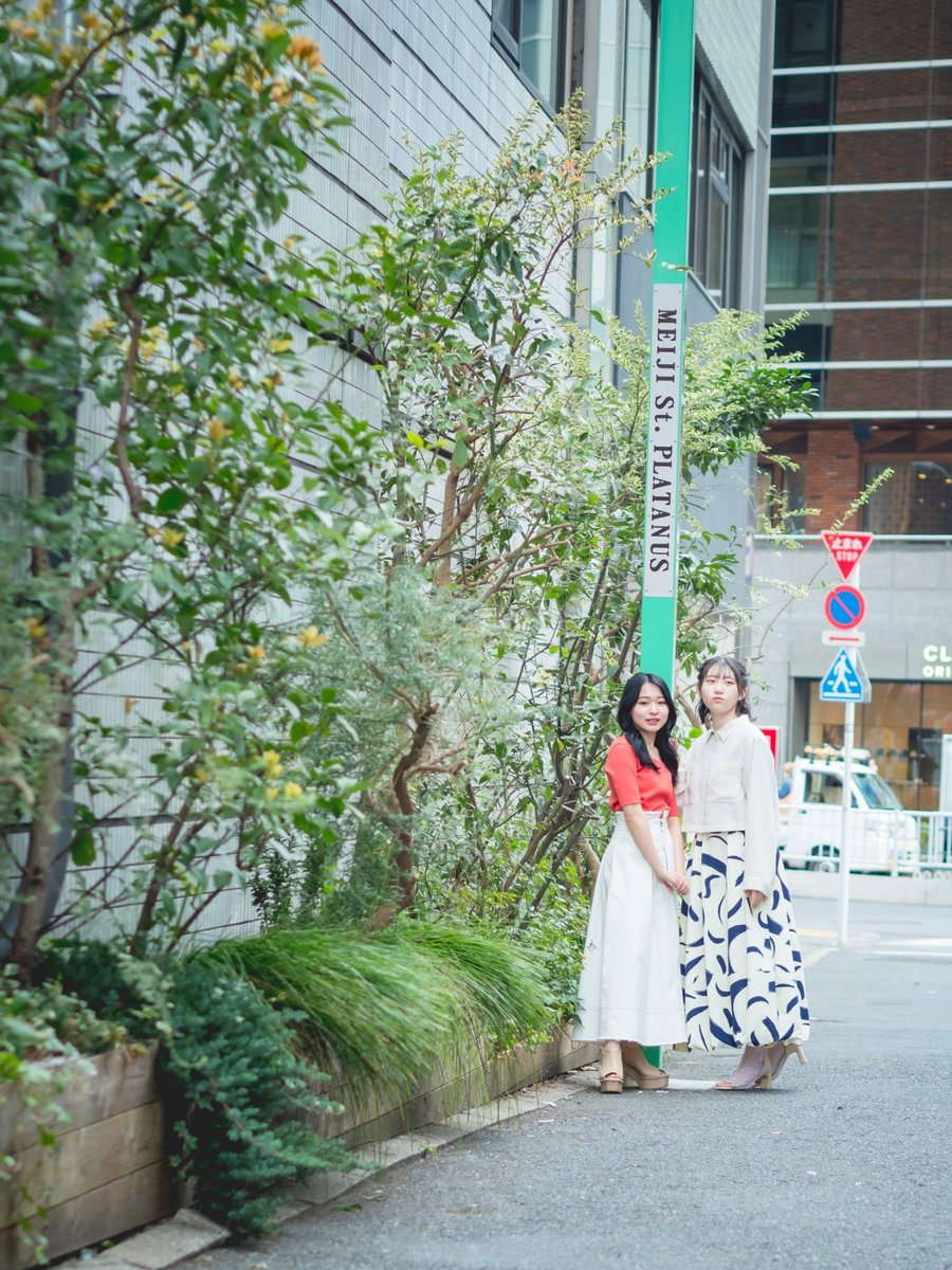 meishokadomatu's tweet photo. AZULBYMOUSSY📸

#AZULBYMOUSSY #azulbymoussy #アズールバイマウジー #BLEA #ATCBB https://t.co/tn7TtUOOFE